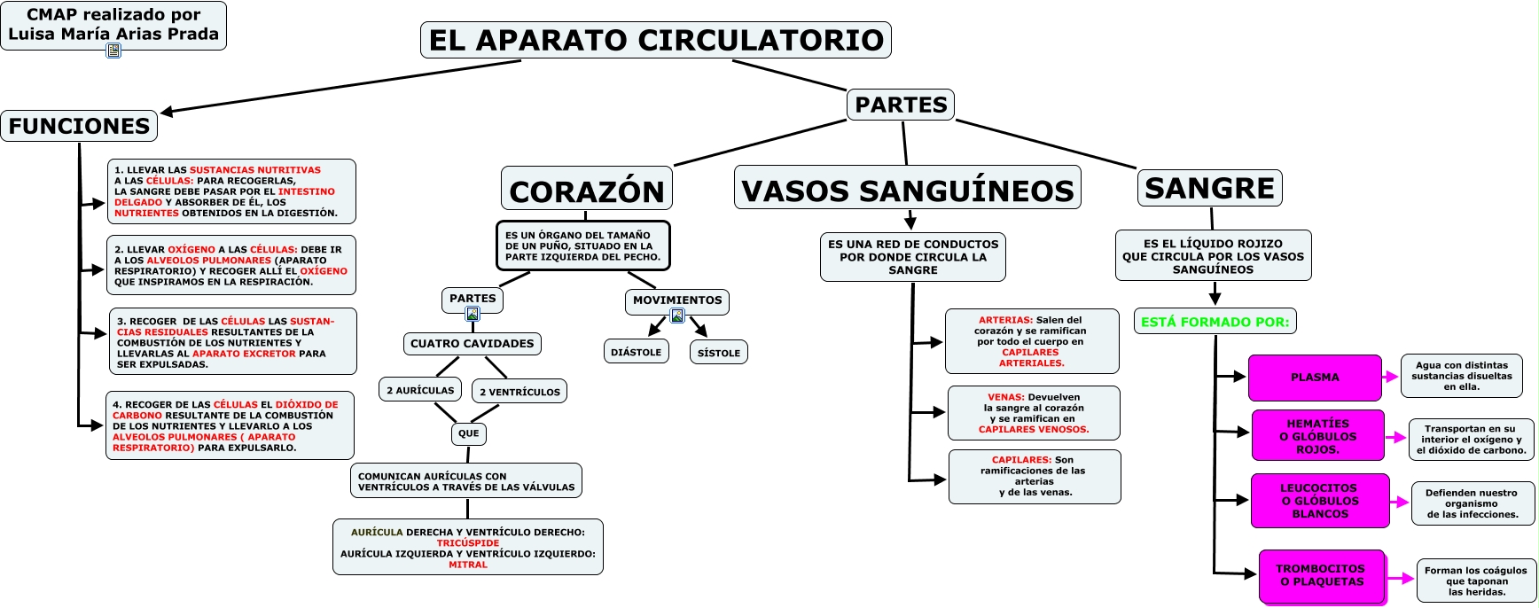 EL SISTEMA CIRCULATORIO